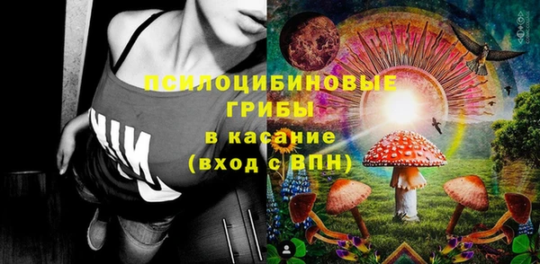 бошки Сосновый Бор