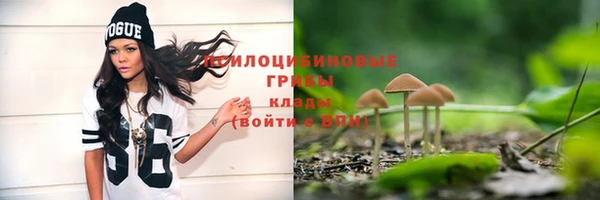хмурый Сосновоборск