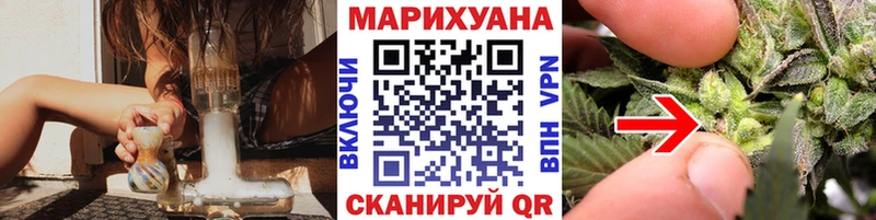Бошки Шишки планчик  Купить  Строитель 